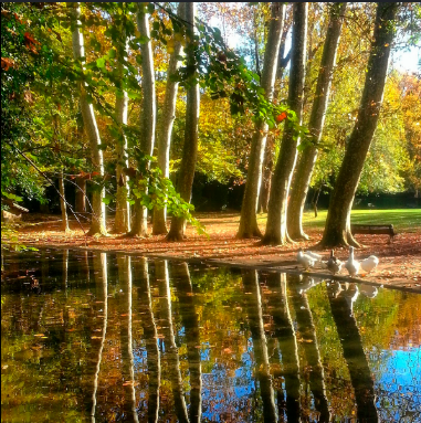 Natura per als retirs